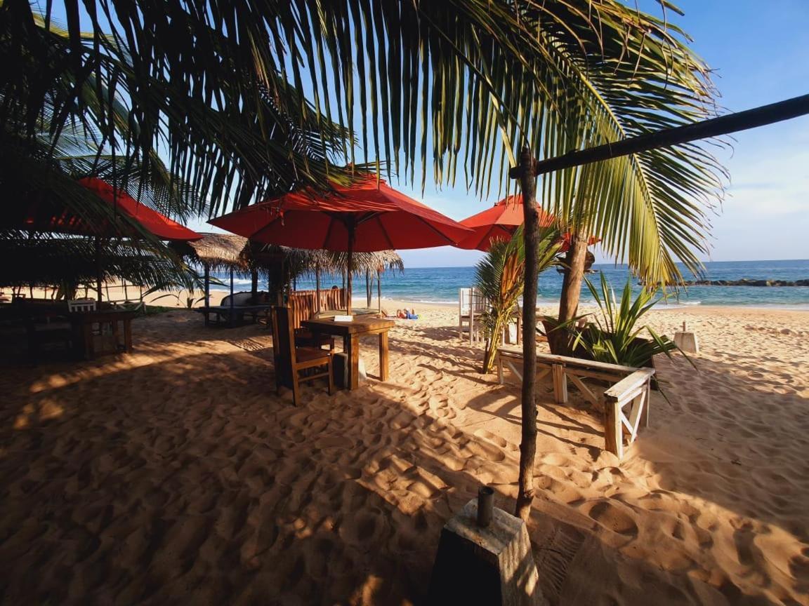 Blue Horizon Beach Hotel แทนกาลเล ภายนอก รูปภาพ