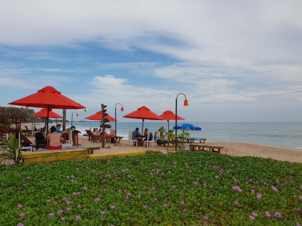 Blue Horizon Beach Hotel แทนกาลเล ภายนอก รูปภาพ